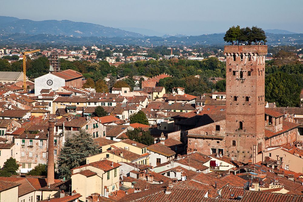 Italy-Tuscany-Lucca The rooftops of the historic center of Lucca and the Guinigi tower art print by Julie Eggers for $57.95 CAD